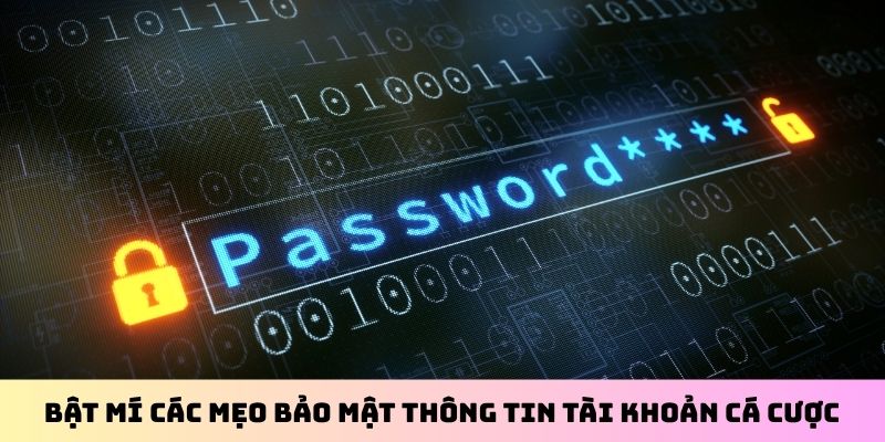 Bật mí các mẹo bảo mật thông tin tài khoản cá cược