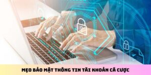 Mẹo bảo mật thông tin tài khoản cá cược