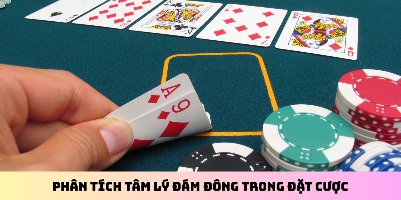 Phân tích tâm lý đám đông trong đặt cược