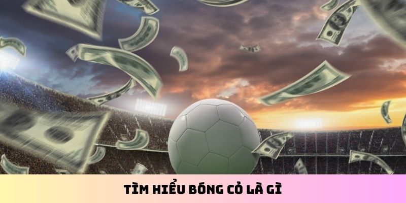 Tìm hiểu bóng cỏ là gì