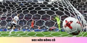 Soi kèo bóng cỏ