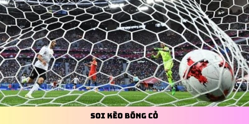 Soi kèo bóng cỏ