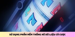 Sử Dụng Phần Mềm Thống Kê Dữ Liệu Cá Cược